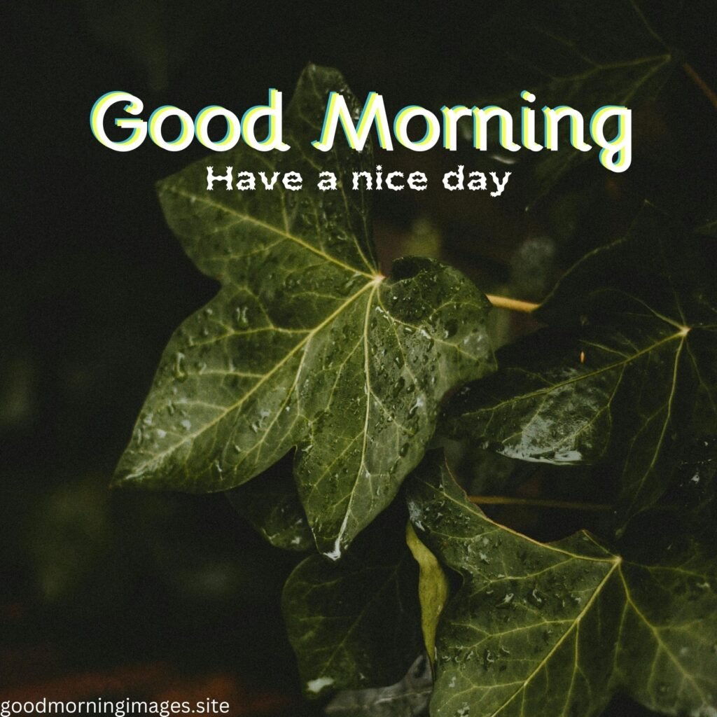 good morning rainy day
